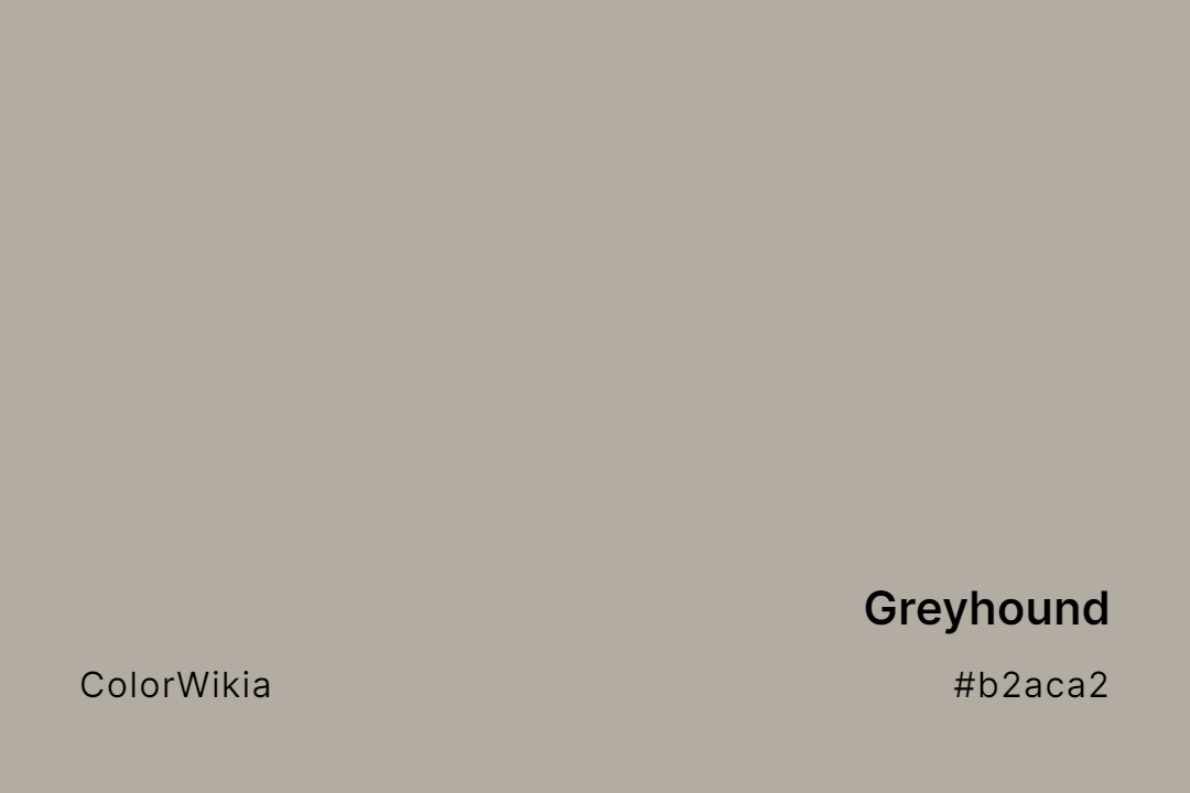 Greyhound Color – #b2aca2: Codes and Complete Breakdown