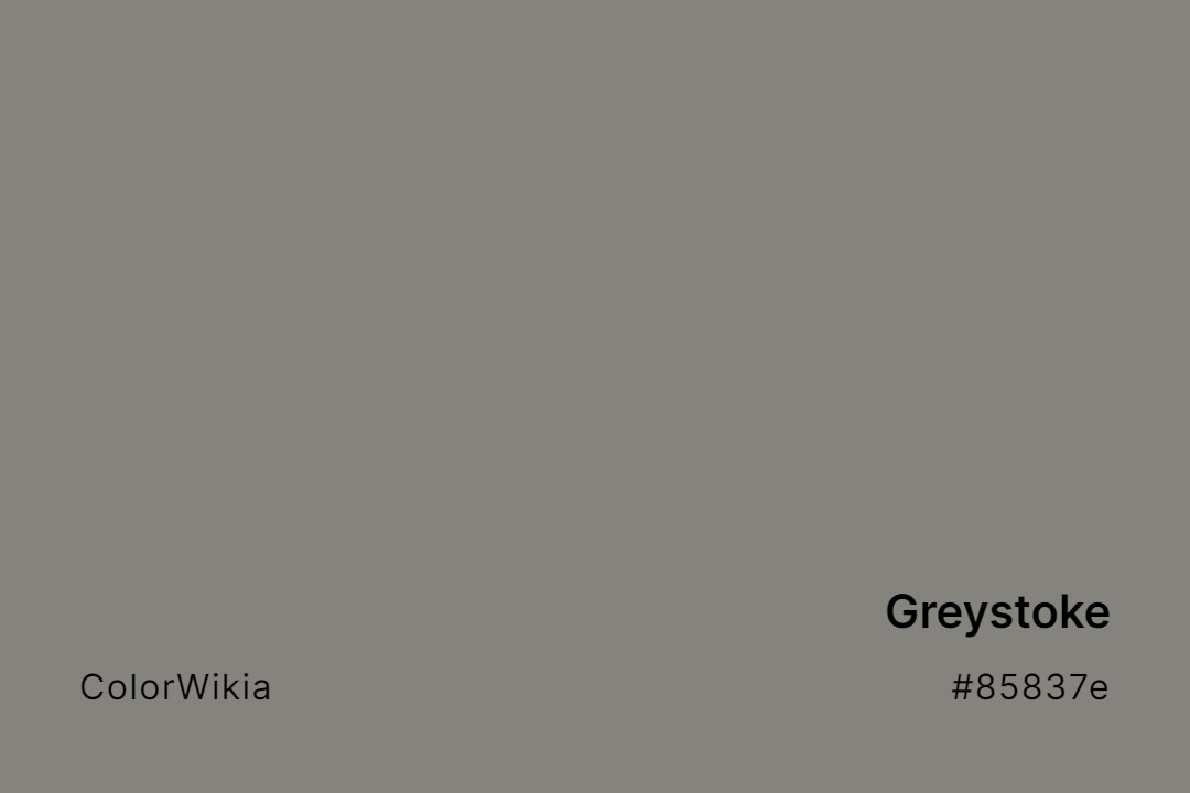 Greystoke Color – #85837e: Codes and Complete Breakdown