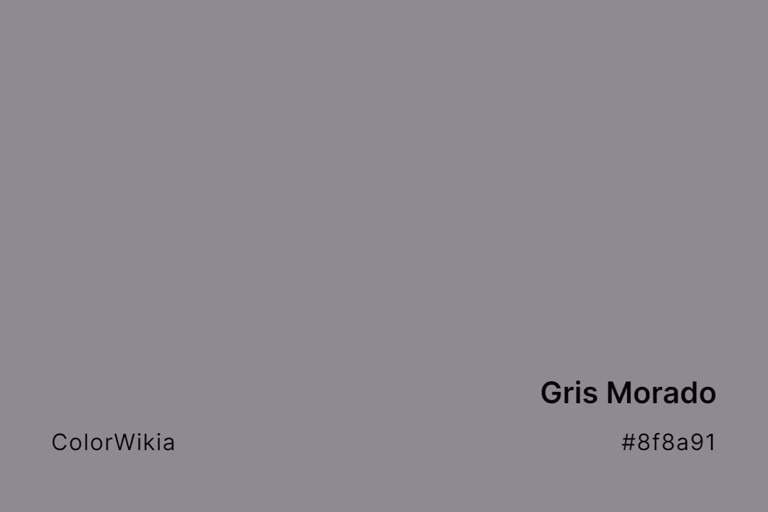 gris morado color 8f8a91