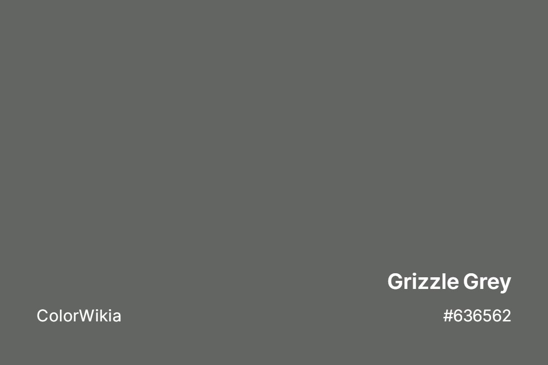 Grizzle Grey Color – #636562: Codes and Complete Breakdown