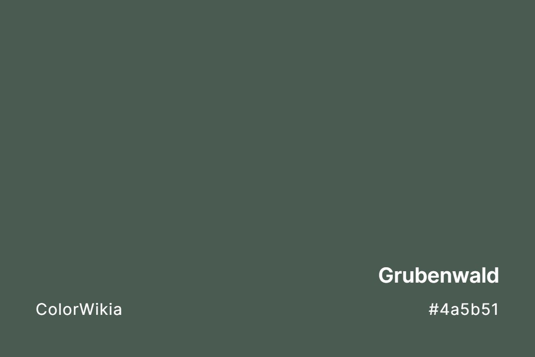 Grubenwald Color – #4a5b51: Codes and Complete Breakdown