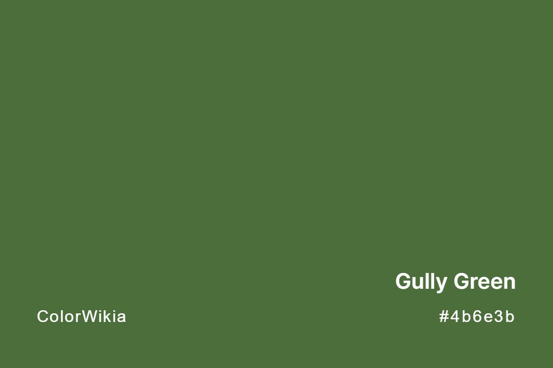 Gully Green Color – #4b6e3b: Codes and Complete Breakdown