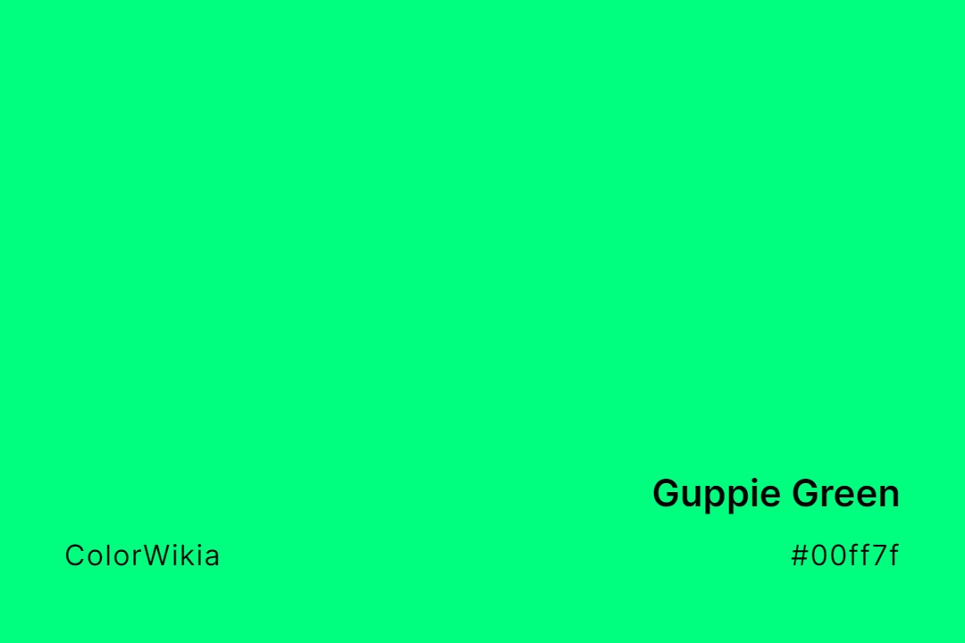 Guppie Green Color – #00ff7f: Codes and Complete Breakdown