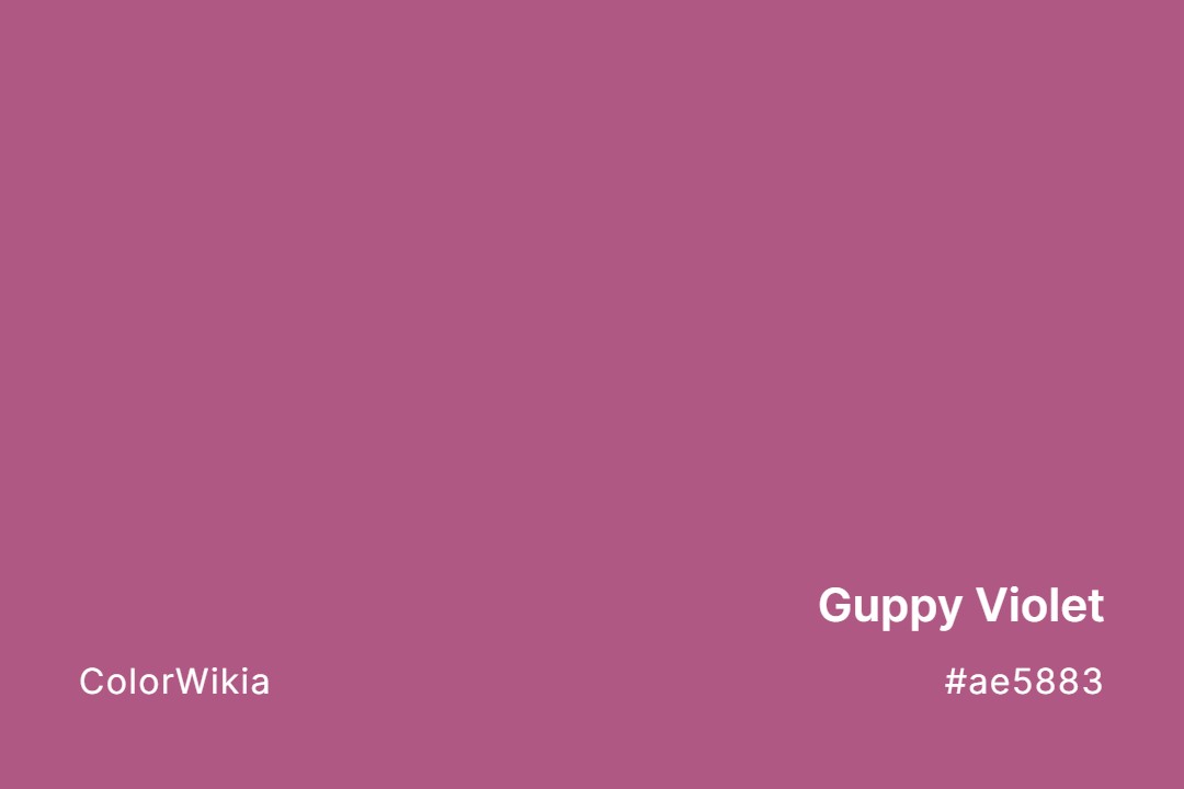 Guppy Violet Color – #ae5883: Codes and Complete Breakdown