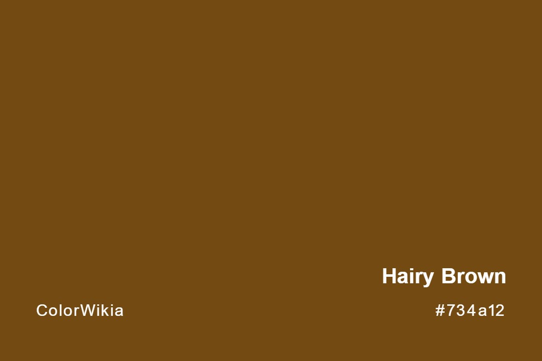 Hairy Brown Color – #734a12: Codes and Complete Breakdown