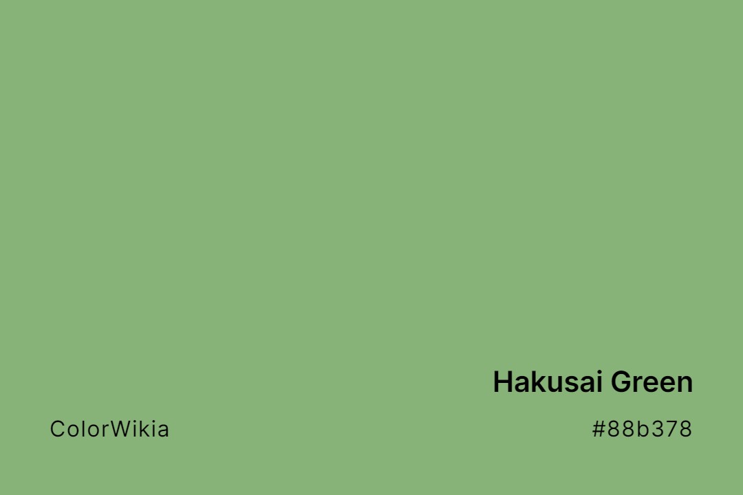 Hakusai Green Color – #88b378: Codes and Complete Breakdown