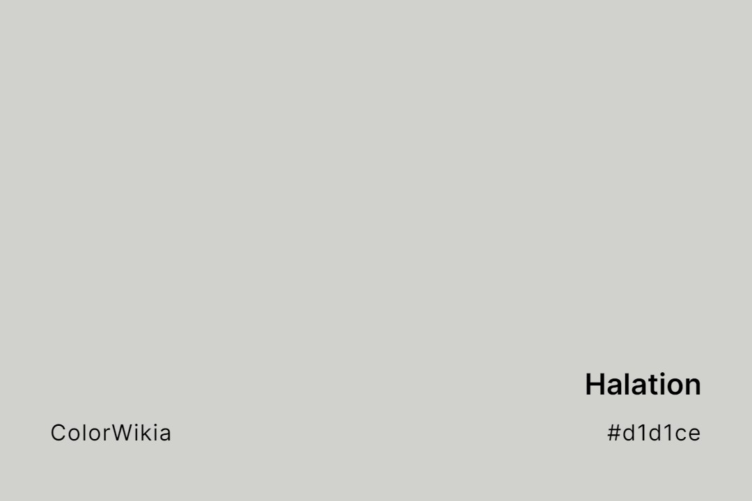 Halation Color – #d1d1ce: Codes and Complete Breakdown