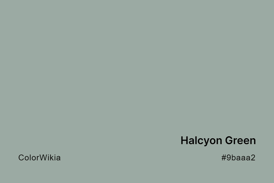 Halcyon Green Color – #9baaa2: Codes and Complete Breakdown