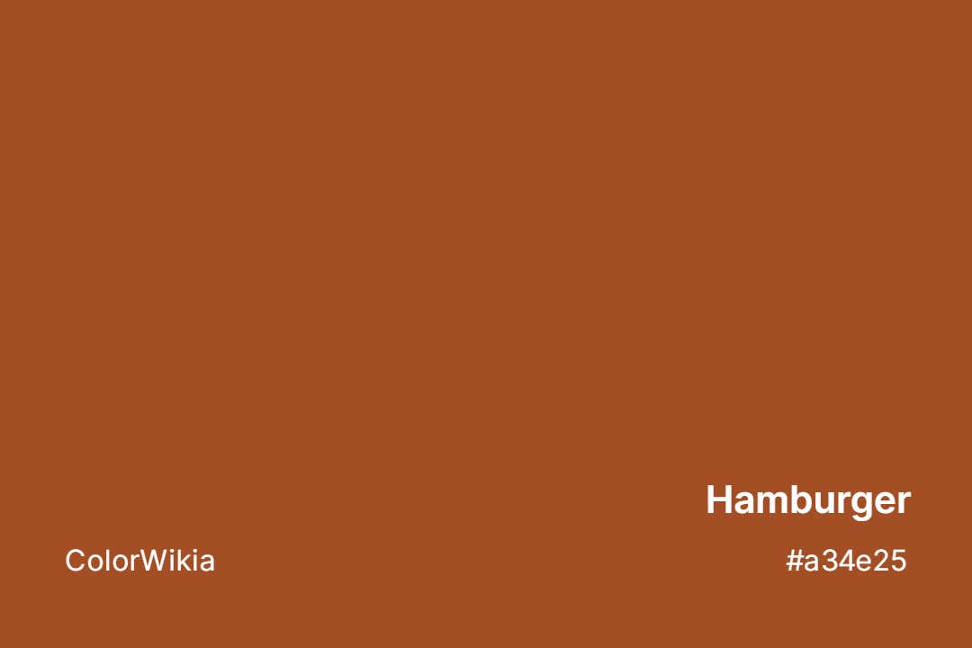 Hamburger Color – #a34e25: Codes and Complete Breakdown