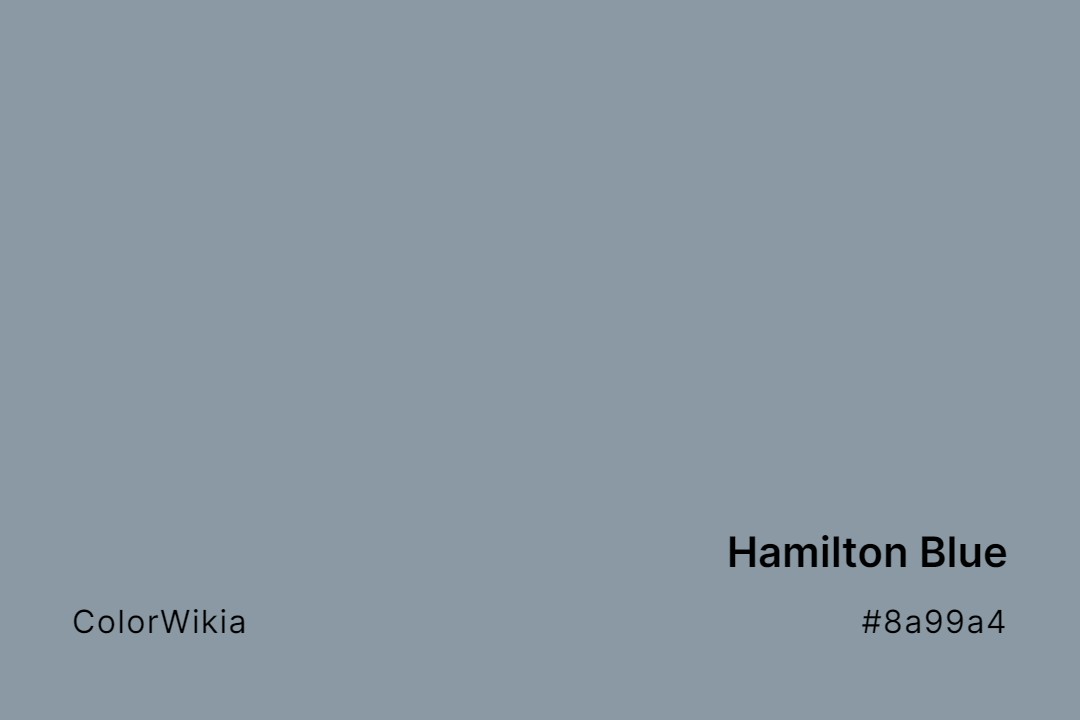 Hamilton Blue Color – #8a99a4: Codes and Complete Breakdown
