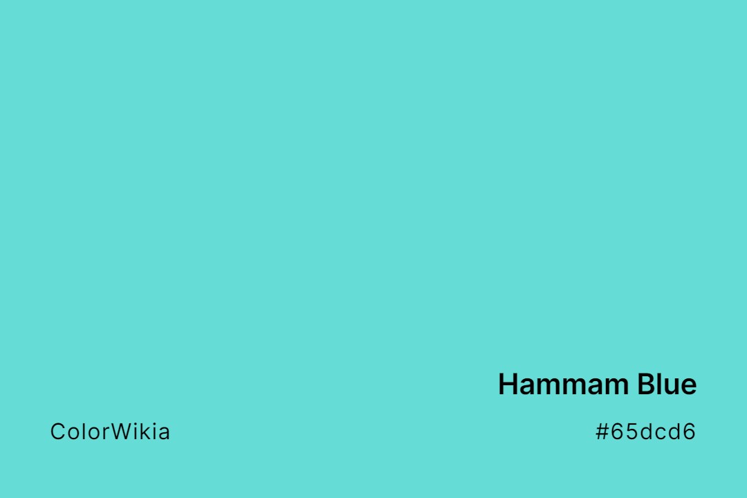Hammam Blue Color – #65dcd6: Codes and Complete Breakdown