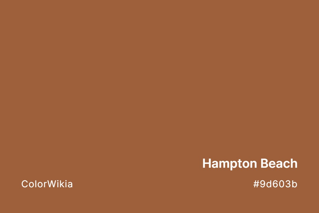 hampton beach color 9d603b