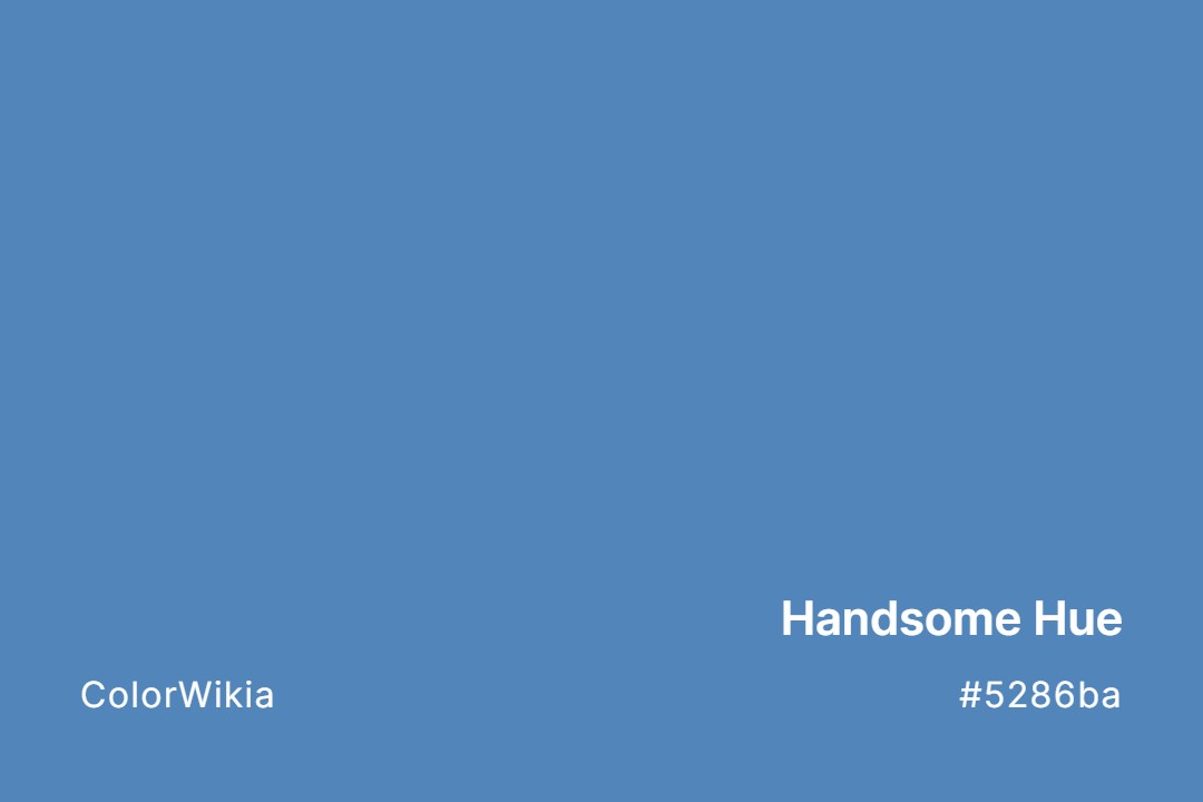 handsome hue color 5286ba