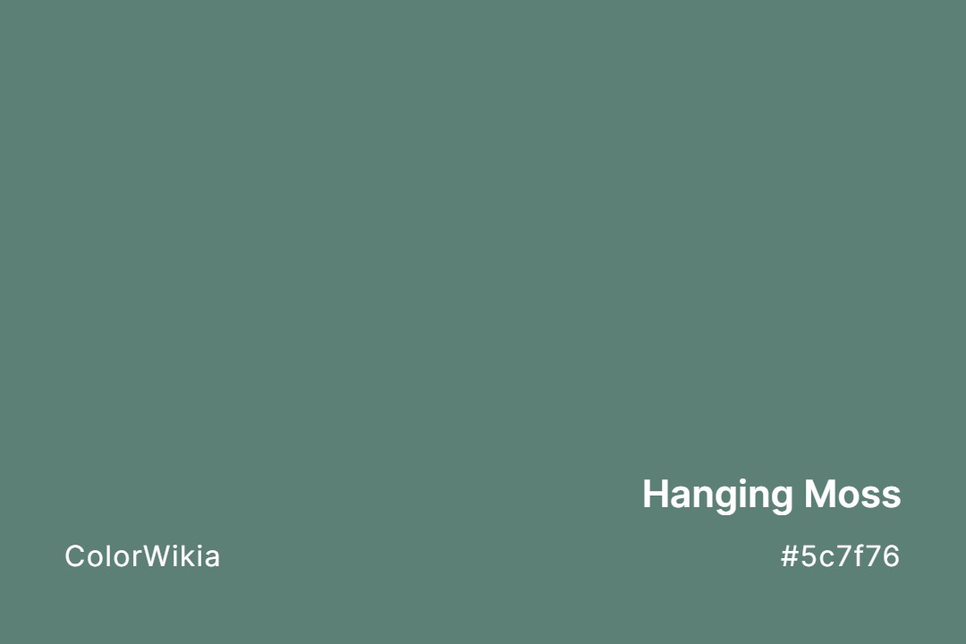 hanging moss color 5c7f76