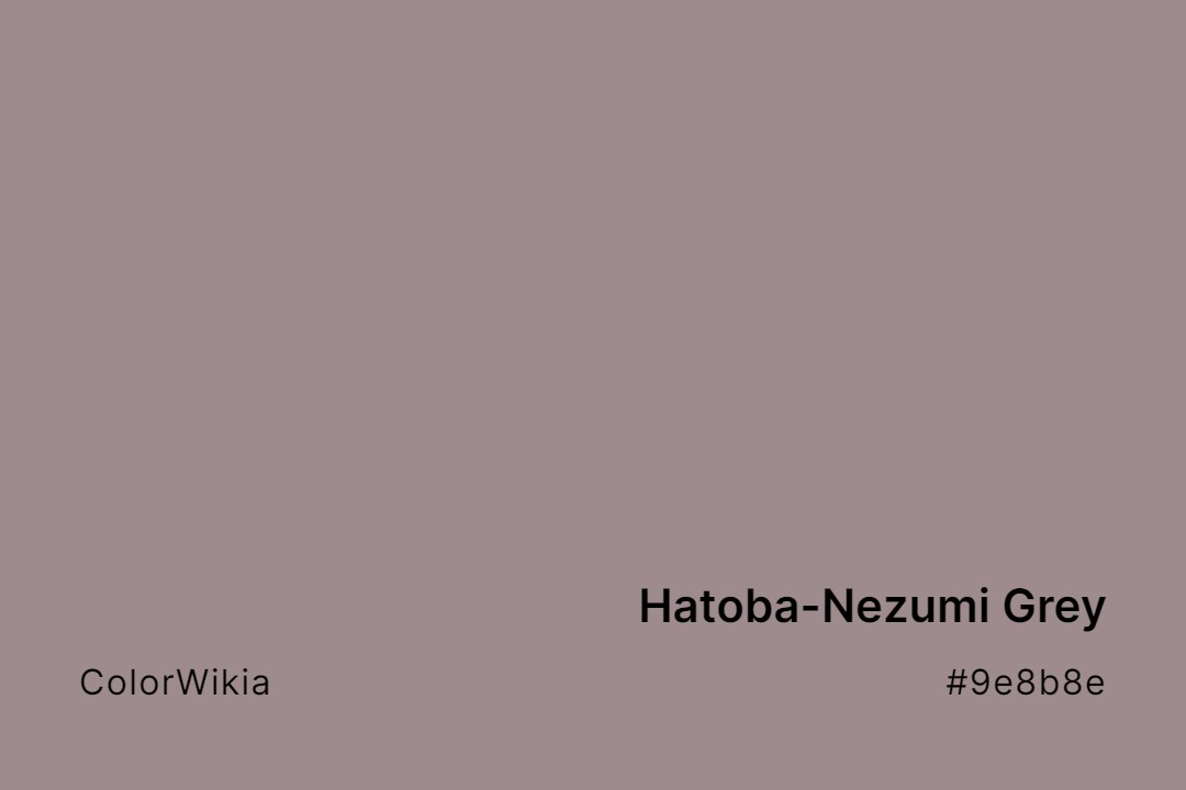 Hatoba-Nezumi Grey Color – #9e8b8e: Codes and Complete Breakdown