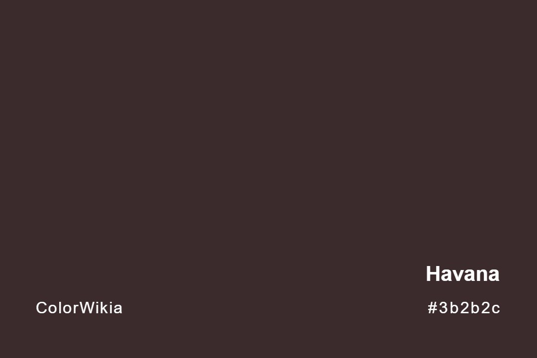 havana color 3b2b2c