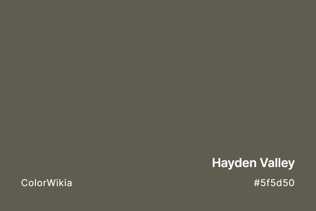 hayden valley color 5f5d50