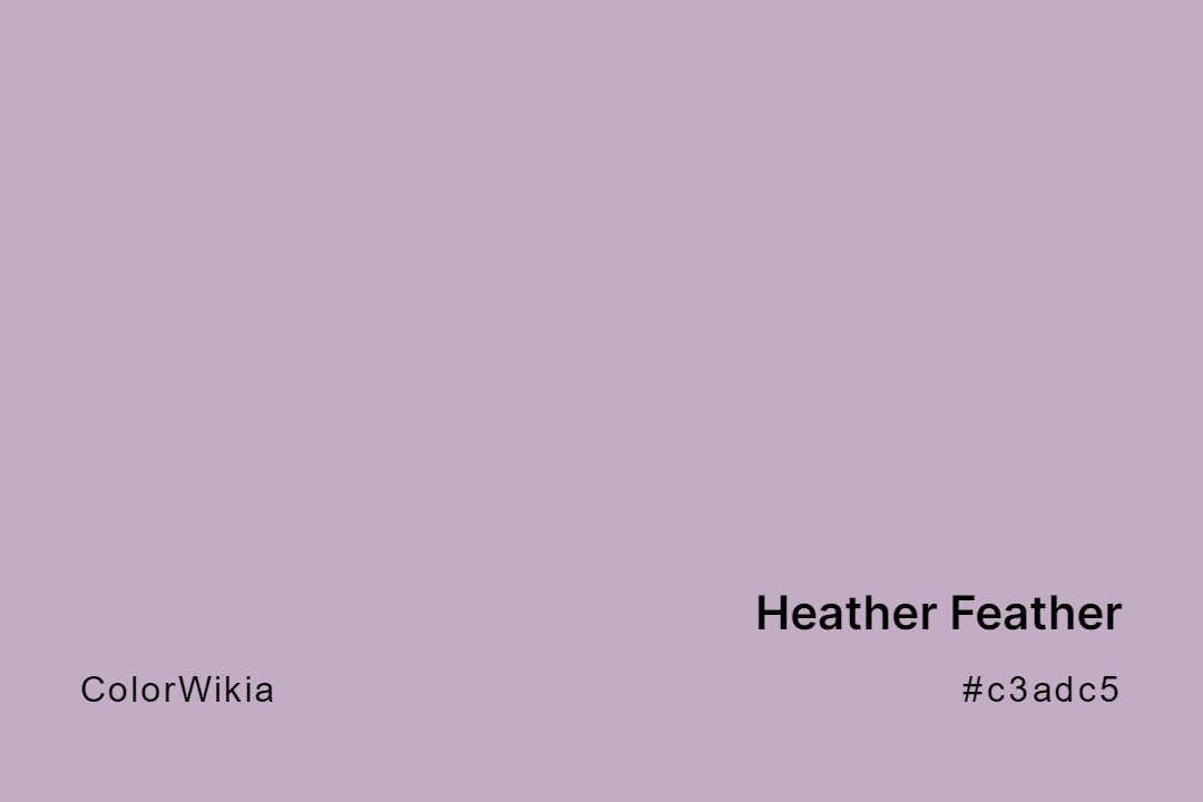 heather feather color c3adc5