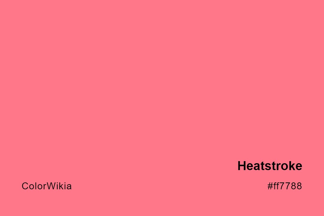 Heatstroke Color – #ff7788: Codes and Complete Breakdown
