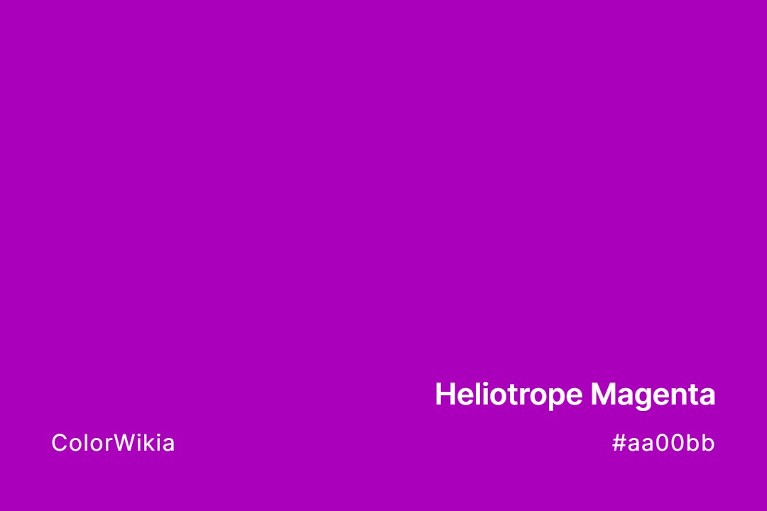 heliotrope magenta color aa00bb