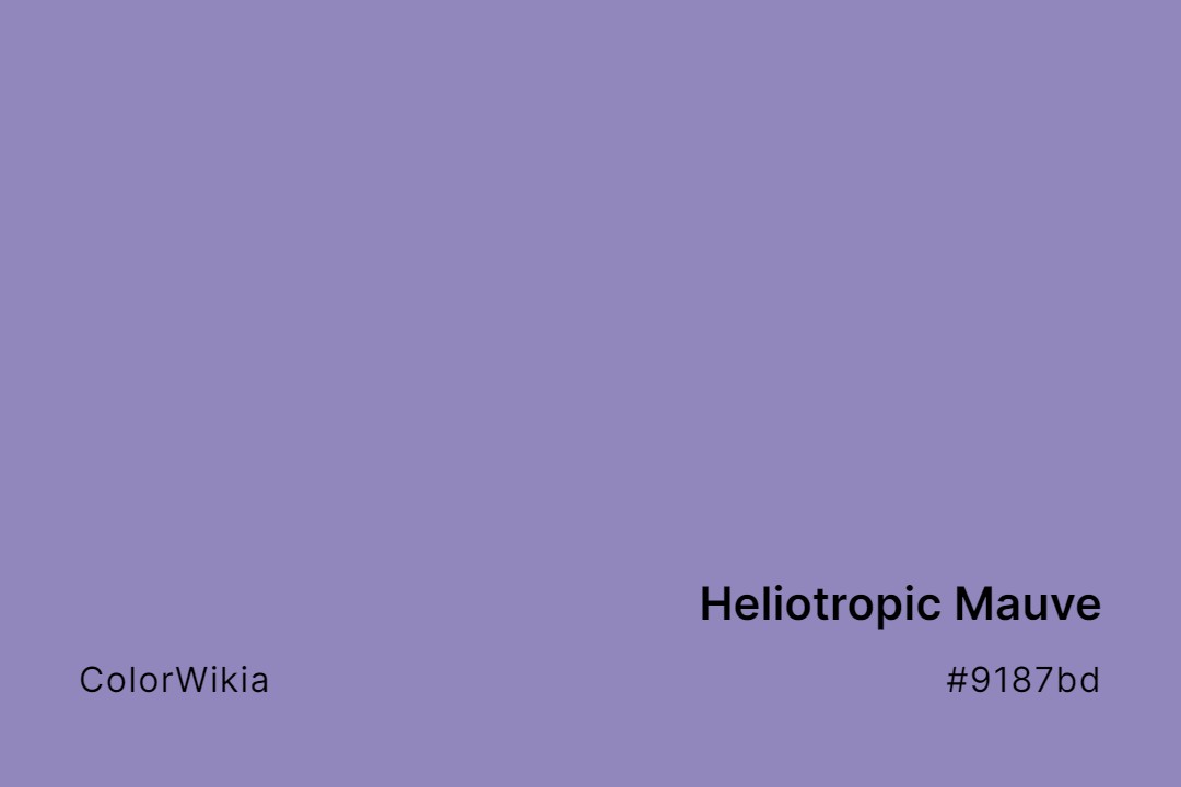 Heliotropic Mauve Color – #9187bd: Codes and Complete Breakdown