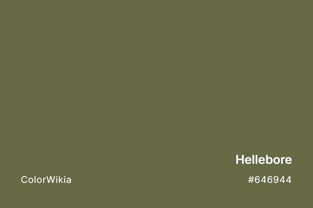 Hellebore Color – #646944: Codes and Complete Breakdown