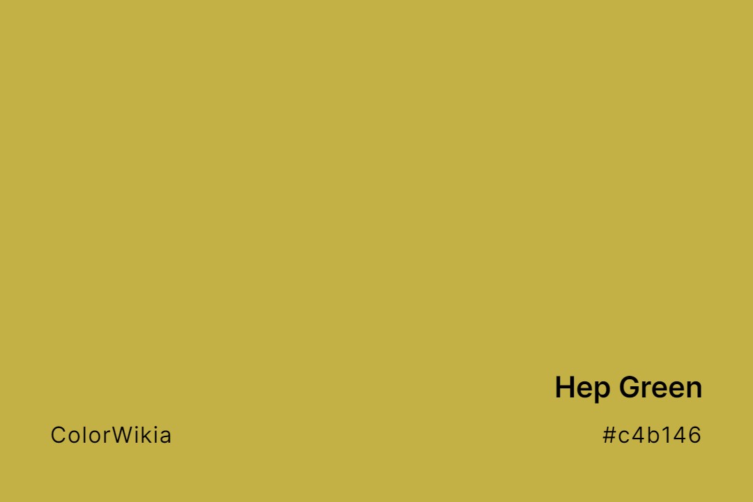 Hep Green Color – #c4b146: Codes and Complete Breakdown