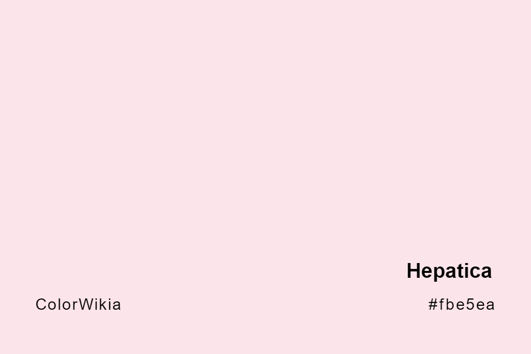 Hepatica Color – #fbe5ea: Codes and Complete Breakdown