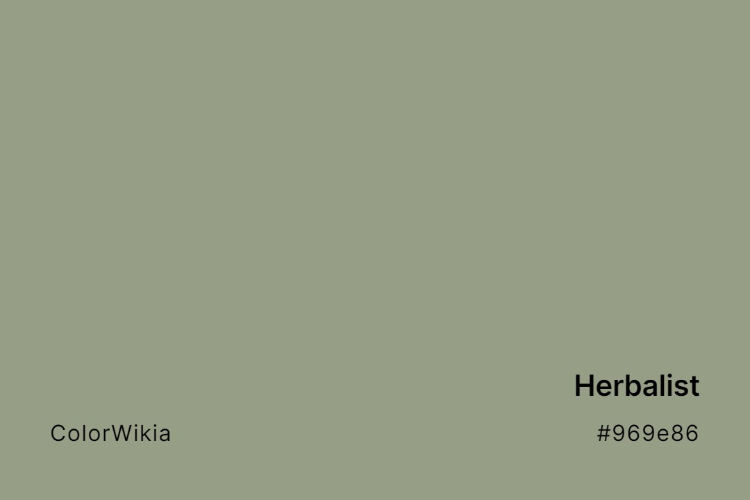 Herbalist Color – #969e86: Codes and Complete Breakdown