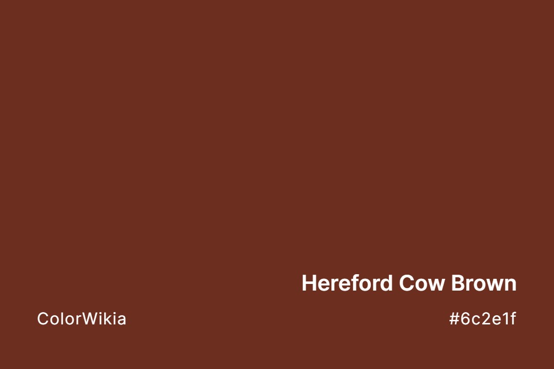 Hereford Cow Brown Color – #6c2e1f: Codes and Complete Breakdown