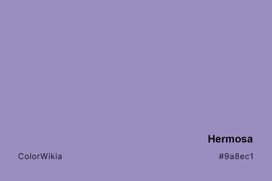 Hermosa Color – #9a8ec1: Codes and Complete Breakdown