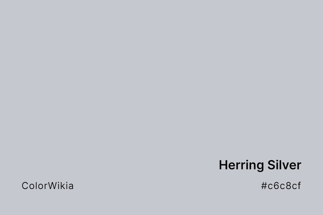 Herring Silver Color – #c6c8cf: Codes and Complete Breakdown
