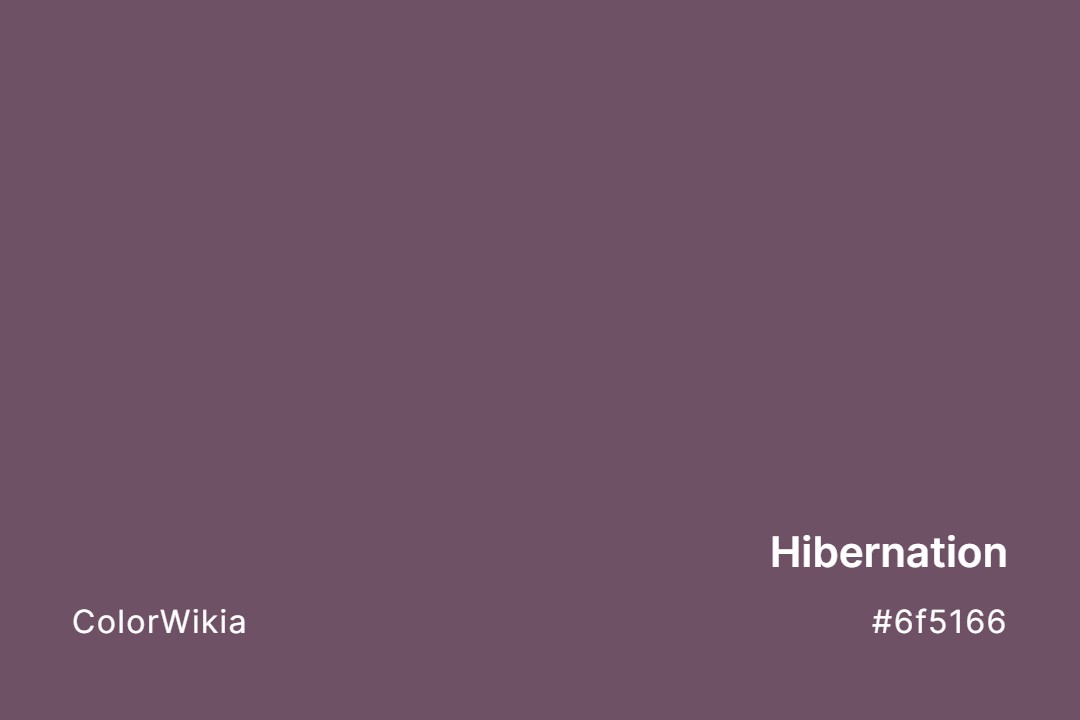 Hibernation Color – #6f5166: Codes and Complete Breakdown