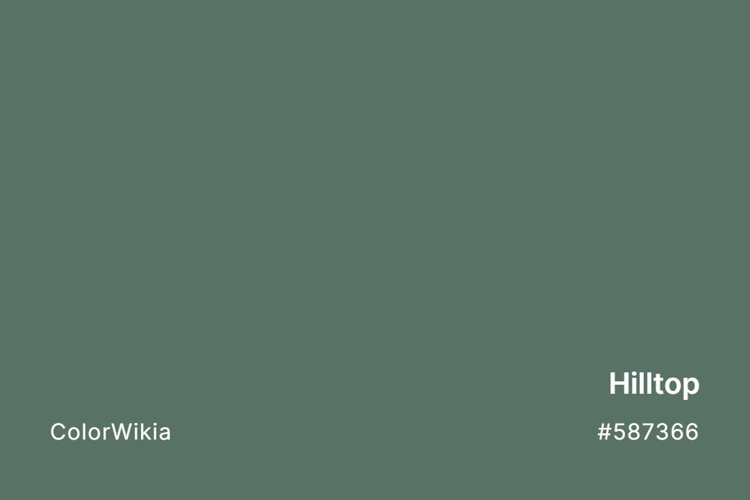 Hilltop Color – #587366: Codes and Complete Breakdown