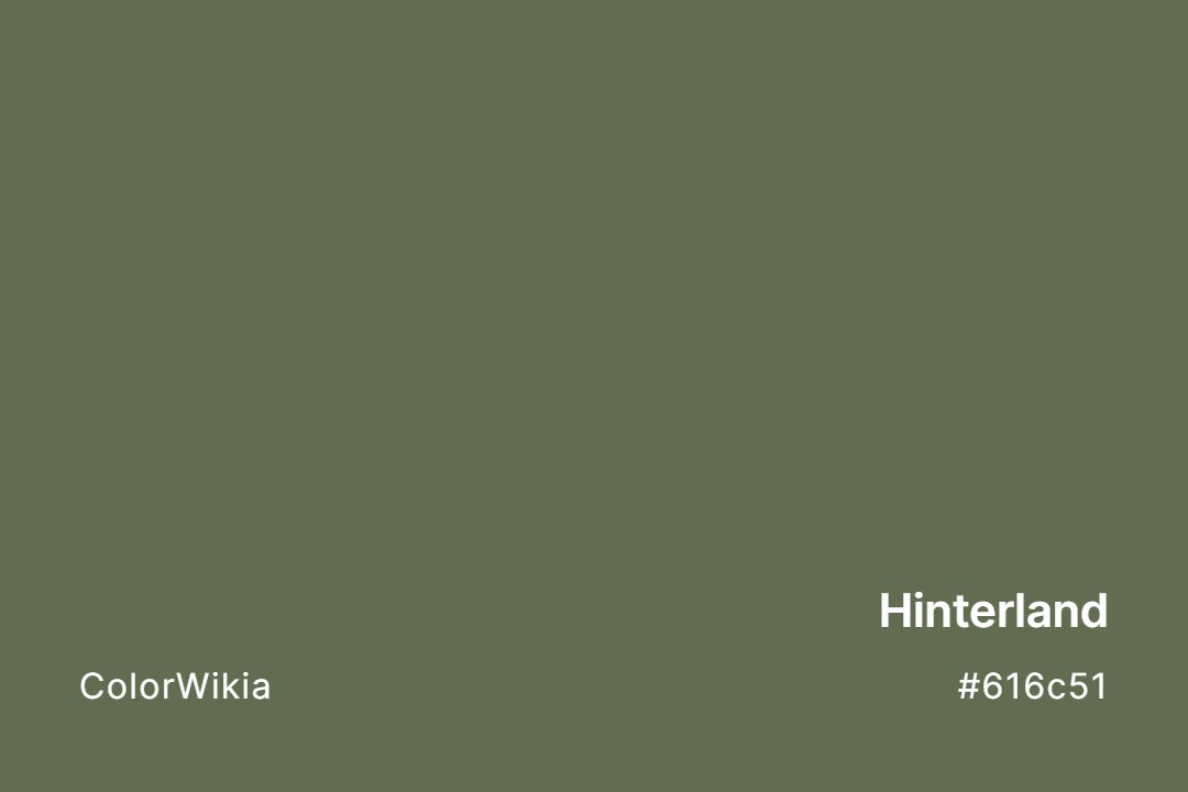 Hinterland Color – #616c51: Codes and Complete Breakdown