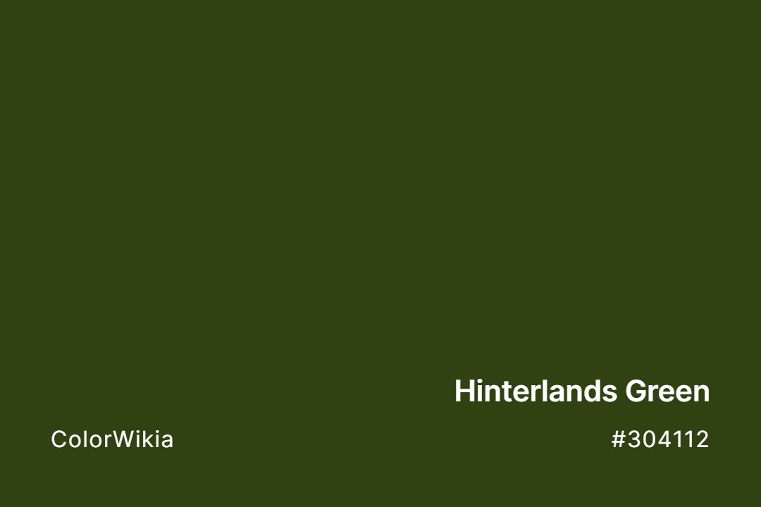 Hinterlands Green Color – #304112: Codes and Complete Breakdown