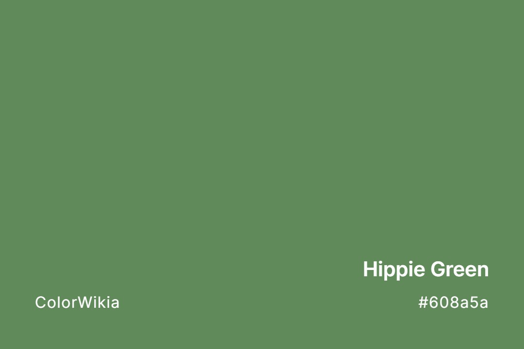 hippie green color 608a5a