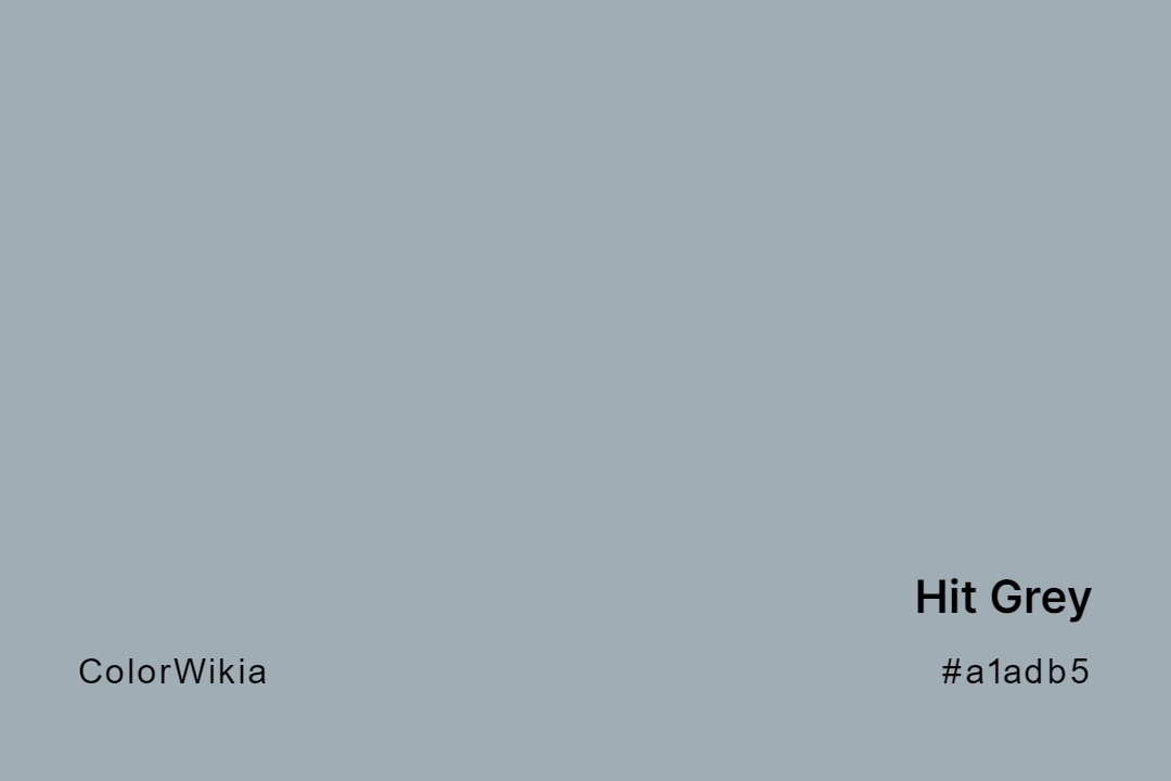 Hit Grey Color – #a1adb5: Codes and Complete Breakdown