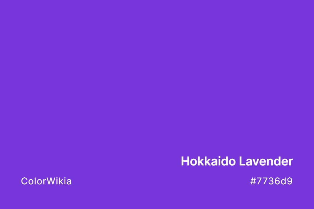 Hokkaido Lavender Color – #7736d9: Codes and Complete Breakdown