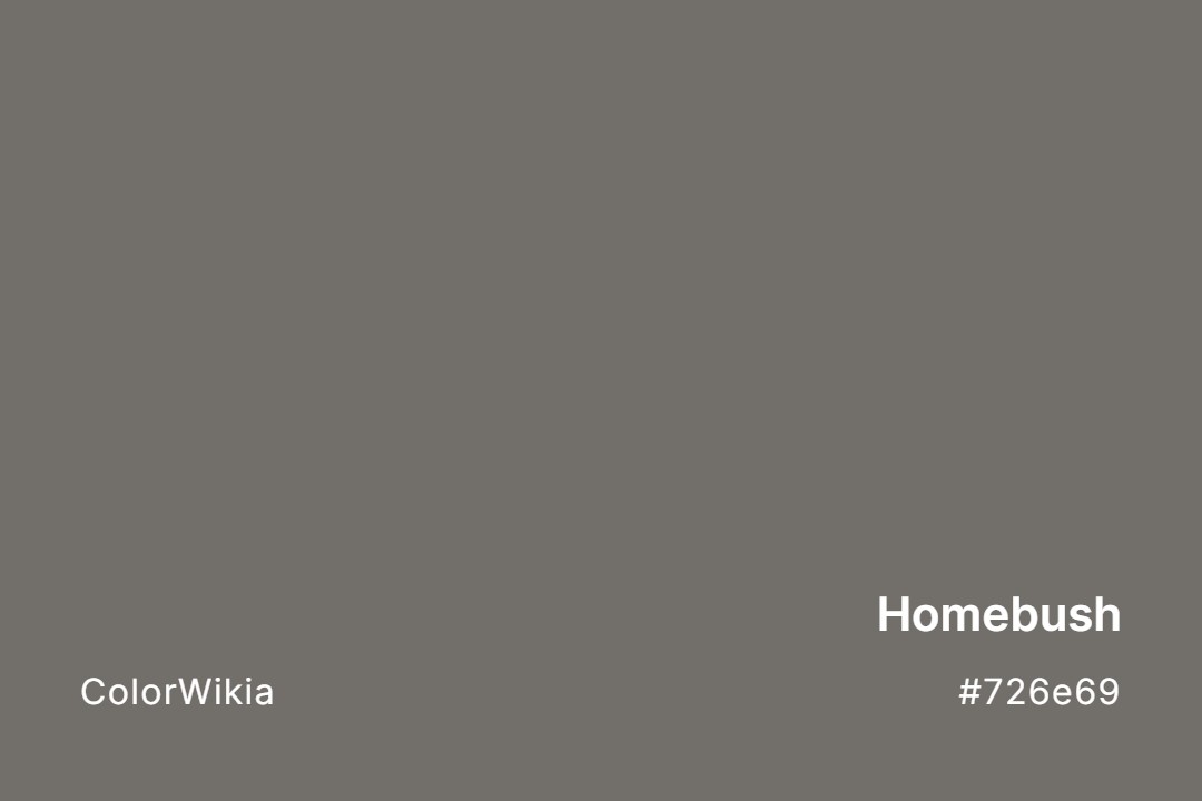 Homebush Color – #726e69: Codes and Complete Breakdown