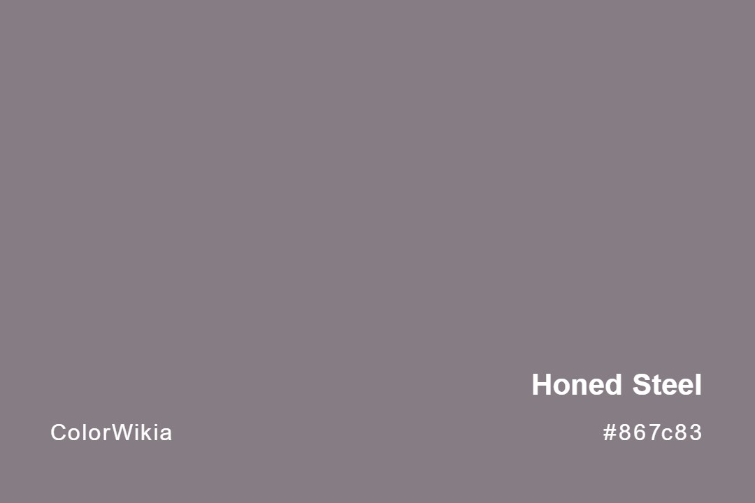 honed steel color 867c83