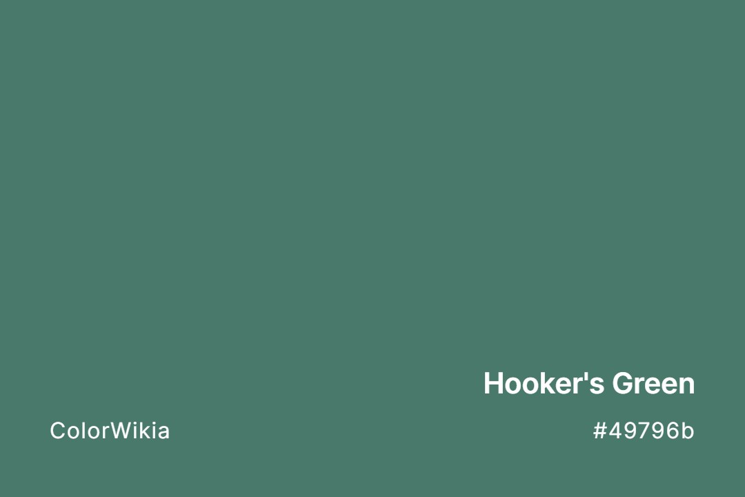 Hooker’s Green Color – #49796b: Codes and Complete Breakdown