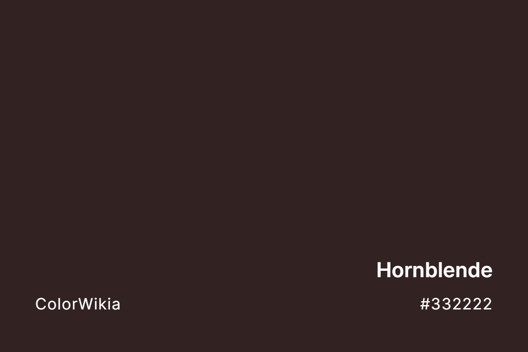 Hornblende Color – #332222: Codes and Complete Breakdown