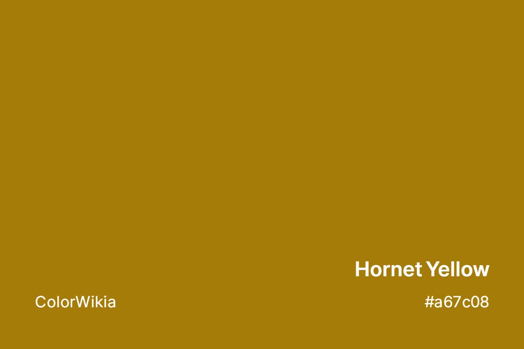 hornet yellow color a67c08