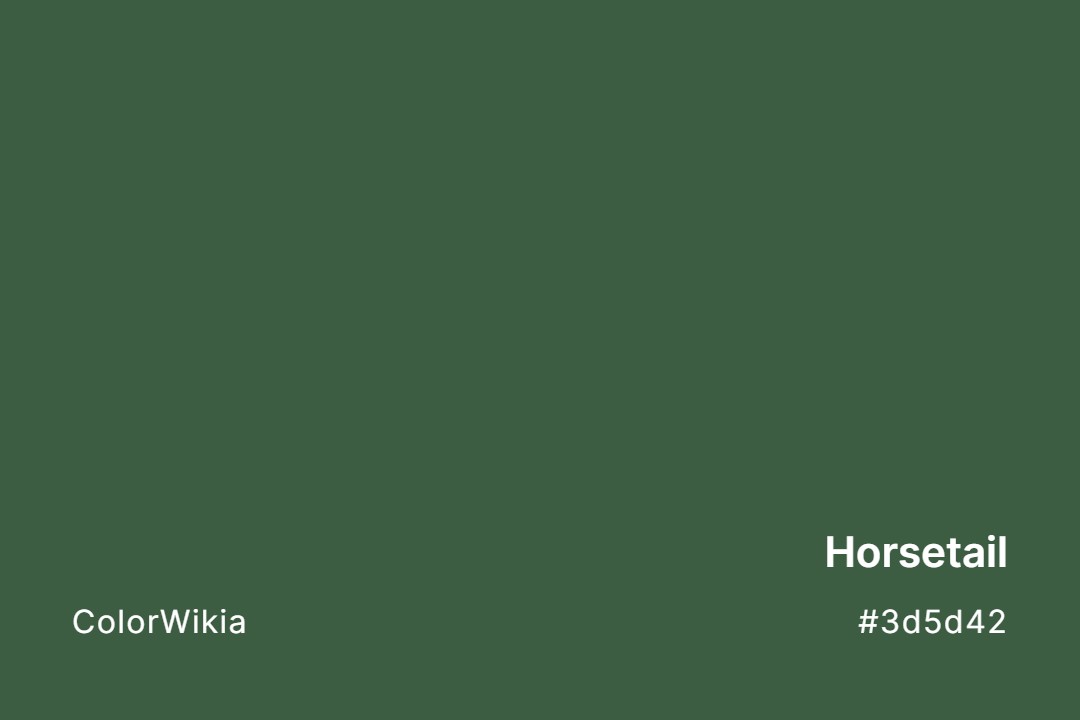 Horsetail Color – #3d5d42: Codes and Complete Breakdown