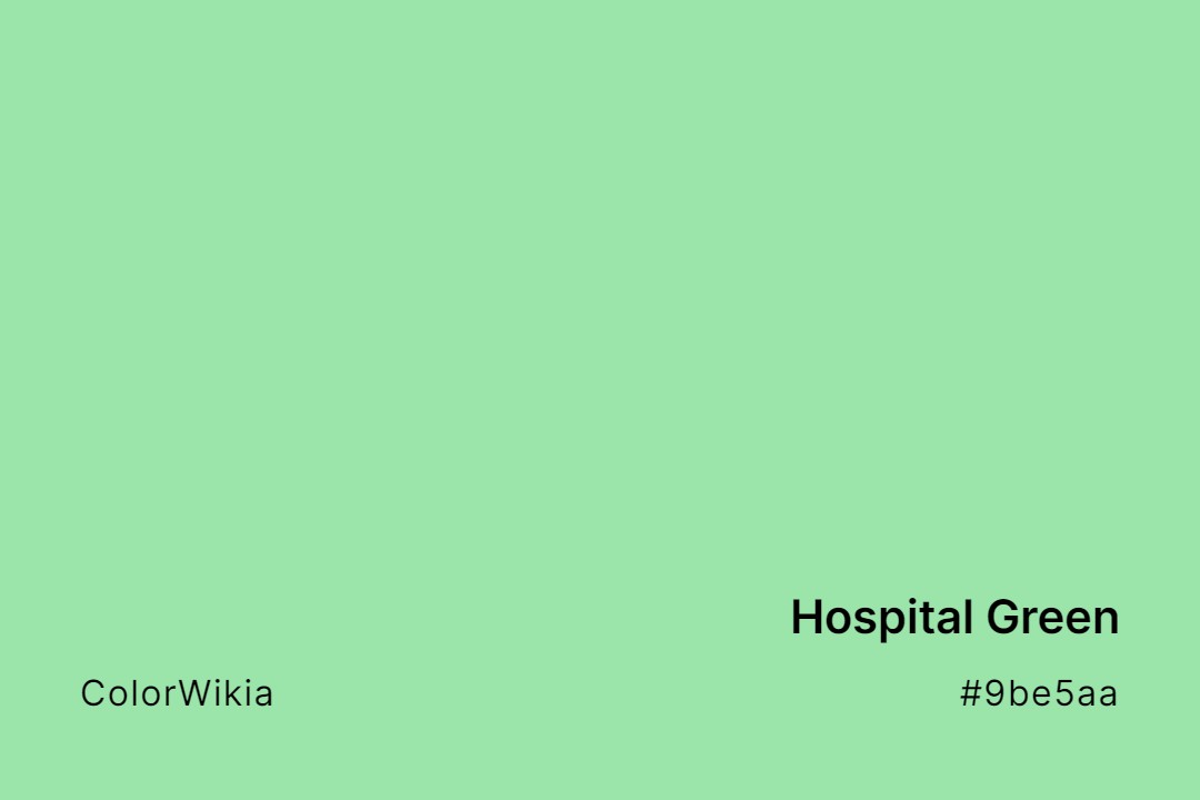 Hospital Green Color – #9be5aa: Codes and Complete Breakdown