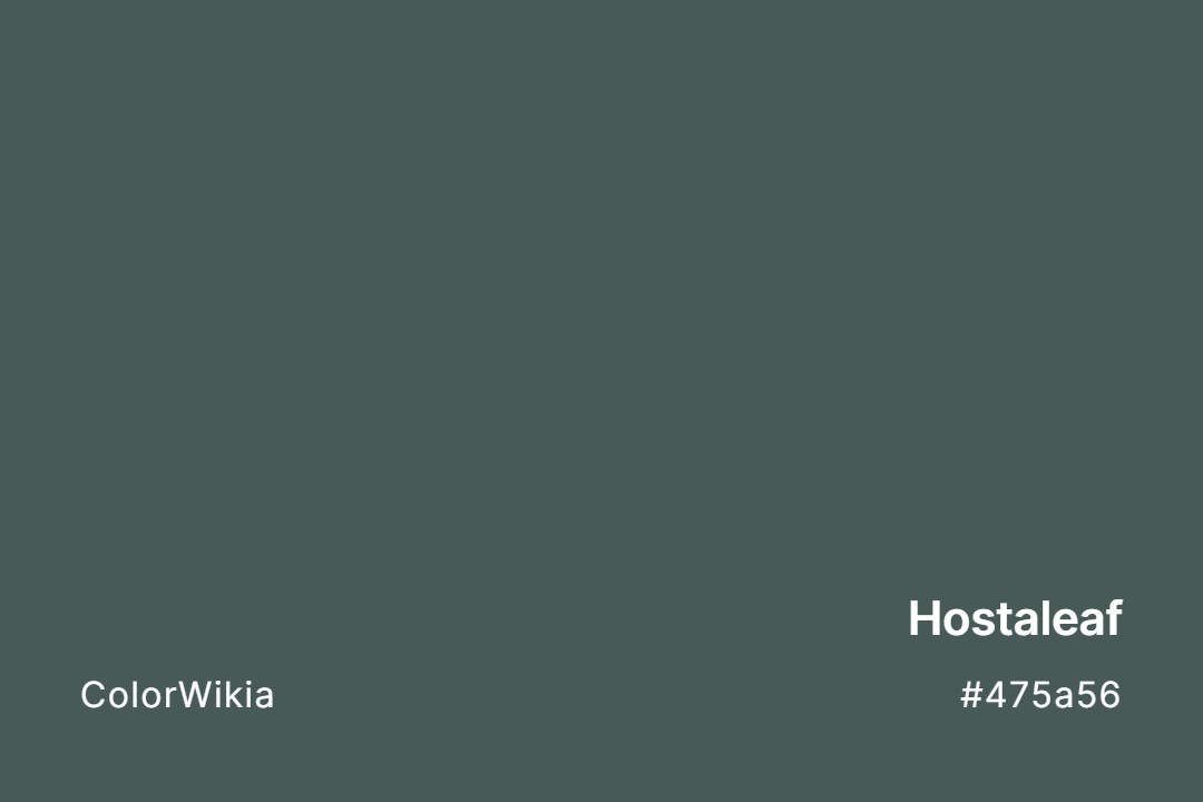 Hostaleaf Color – #475a56: Codes and Complete Breakdown
