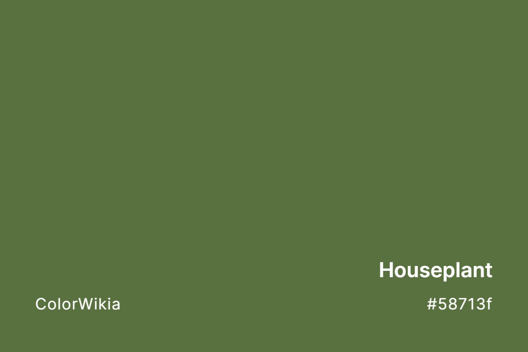Houseplant Color – #58713f: Codes and Complete Breakdown