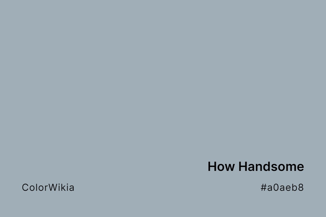 How Handsome Color – #a0aeb8: Codes and Complete Breakdown