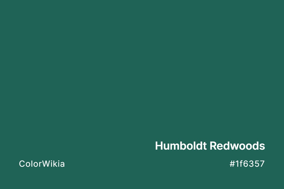 Humboldt Redwoods Color – #1f6357: Codes and Complete Breakdown